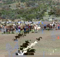 Gresford Agricultural Show - Accommodation Nelson Bay