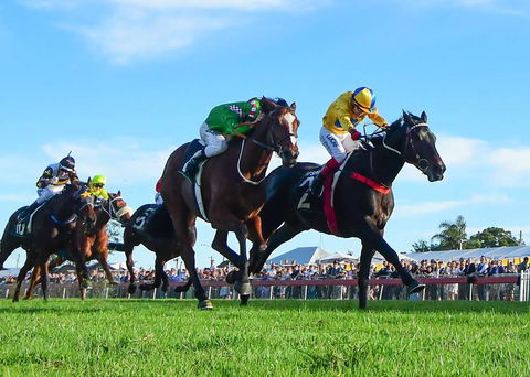 Ipswich Cup 2021 - Accommodation Nelson Bay 2
