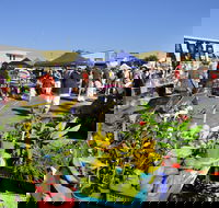 Maclean Community Monthly Markets - Accommodation Nelson Bay