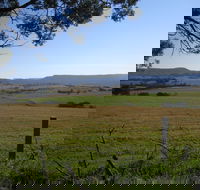 Milton Village Showground Markets - Accommodation Nelson Bay