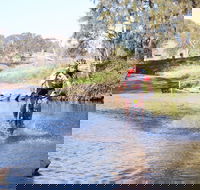 Mountain Man Tri Challenge - Accommodation Nelson Bay