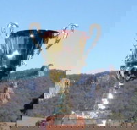 Nimbin Poetry World Cup - Accommodation Nelson Bay