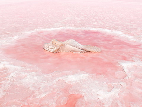 Oceans From Here - Accommodation Nelson Bay 0