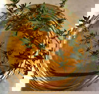 Online live streaming class DIY Skincare Products - Accommodation Nelson Bay