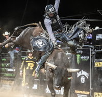 PBR Hawkesbury Stampede - Accommodation Nelson Bay