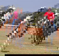 Pride of the West Races 2020 - Accommodation Nelson Bay