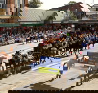 Scone Horse Festival - Accommodation Nelson Bay