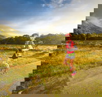 Trail Run Australia  Snowy Mountains - Accommodation Nelson Bay