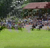 Tumut Derby Day - Accommodation Nelson Bay