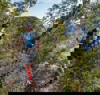 Wild Earth Coastal High 50 - Accommodation Nelson Bay