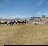 Adaminaby Cup Race Day - Accommodation Nelson Bay