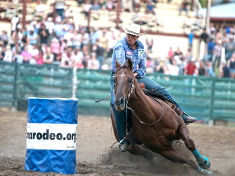 AgriWest Cooma Rodeo - Accommodation Nelson Bay 1
