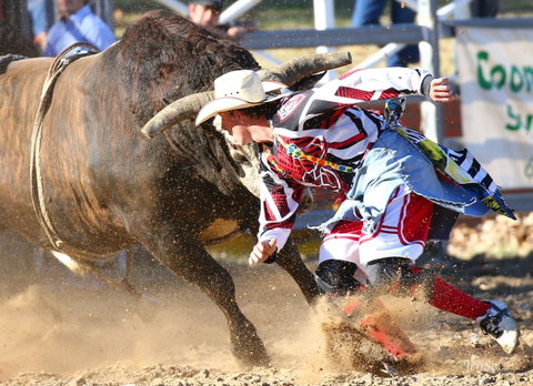 AgriWest Cooma Rodeo - Accommodation Nelson Bay 2