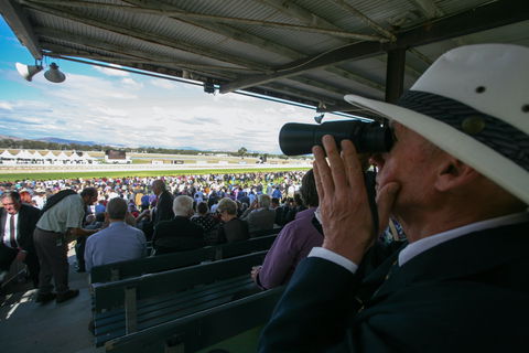 Albury Racing Club Boxing Day Races - Accommodation Nelson Bay 1