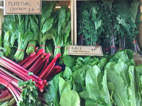 Albury Wodonga Farmers Market - Accommodation Nelson Bay 0