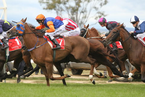 Albury Racing Club January Race Day - Accommodation Nelson Bay 1