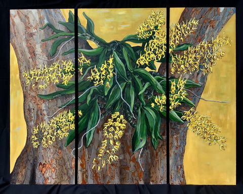 A Still Life - Solo Exhibition  Karen Sedaitis - Accommodation Nelson Bay 1
