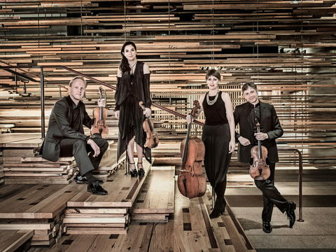 Australian String Quartet Plays Late Beethoven - Accommodation Nelson Bay 2