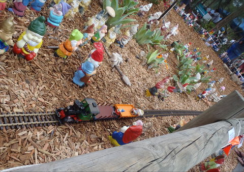 Australia Day With The Australian Gnome Convention Glenbrook - Accommodation Nelson Bay 2