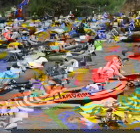 Australia Day Celebrations Gunnedah - Accommodation Nelson Bay