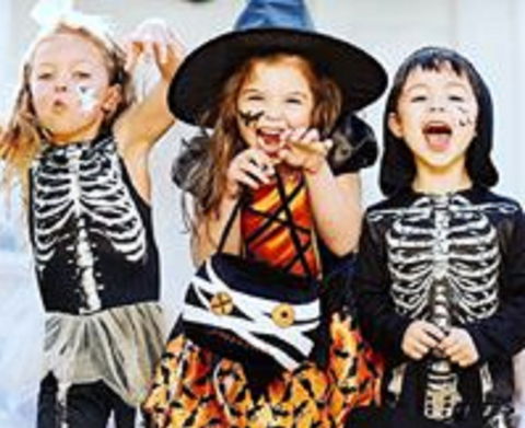 Boo! At The Zoo! - Accommodation Nelson Bay 2