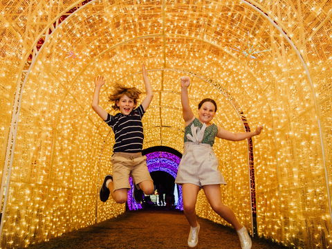 Christmas Lights Spectacular New Year's Eve At Hunter Valley Gardens - Accommodation Nelson Bay 0
