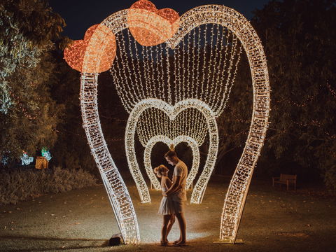 Christmas Lights Spectacular New Year's Eve At Hunter Valley Gardens - Accommodation Nelson Bay 1