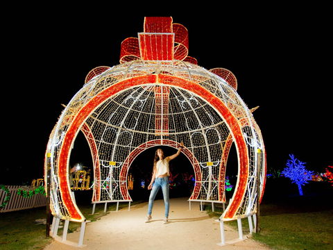 Christmas Lights Spectacular At Hunter Valley Gardens - Accommodation Nelson Bay 1