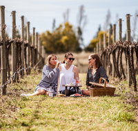 Family Picnic Weekend - Accommodation Nelson Bay