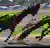 Forbes Show - Accommodation Nelson Bay