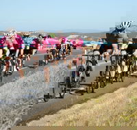 Great Ocean  Otway Classic Ride - Accommodation Nelson Bay
