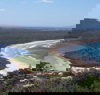 Head to Head Walk Run - Accommodation Nelson Bay