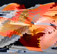 Kendall National Violin Competition Finals Weekend - Accommodation Nelson Bay