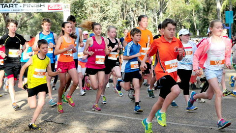 MAAS Group Dubbo Stampede Running Festival - Accommodation Nelson Bay 0