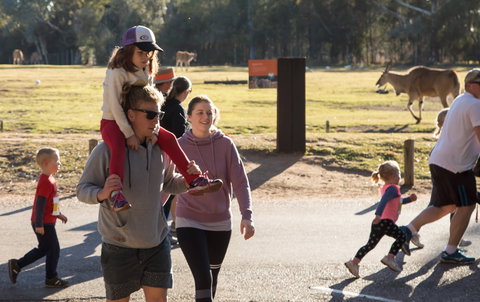 MAAS Group Dubbo Stampede Running Festival - Accommodation Nelson Bay 1