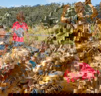 Mini Muddies Obstacle Challenge at Bunnamagoo Estate - Accommodation Nelson Bay