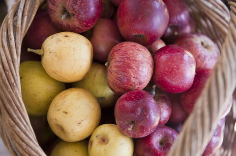 Nundle Country Picnic - Accommodation Nelson Bay 2