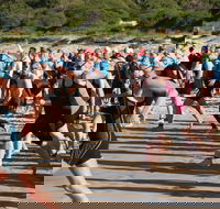 Port Stephens Triathlon Festival - Accommodation Nelson Bay