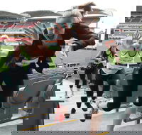 Stadium Stomp Adelaide Oval - Postponed - Accommodation Nelson Bay