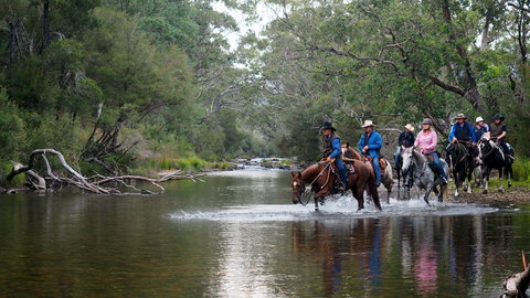 The Man From Snowy River Bush Festival - Accommodation Nelson Bay 0