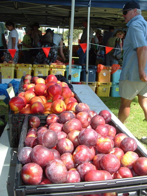 The Farmers Market On Manning - Accommodation Nelson Bay 0