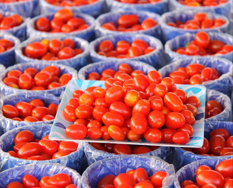 The Entrance Market - Accommodation Nelson Bay 2