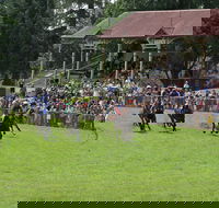 Tumut Boxing Day Races - Accommodation Nelson Bay