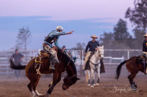 Walgett Charity Bushman's Carnival Rodeo And Campdraft - Accommodation Nelson Bay 1