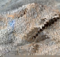 2020 Katherine Bird Festival - Nelson Bay Accommodation.com