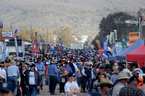 AgQuip - Accommodation Nelson Bay 1