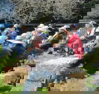 All Season Cold Climate Organic Vegetable Growing - Accommodation Nelson Bay