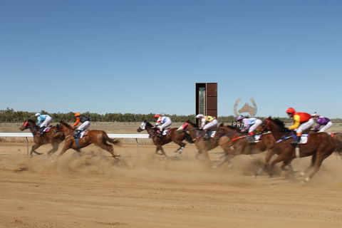 Annual Prairie Races - Accommodation Nelson Bay 1