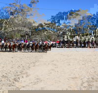 Australian Campdraft Association National Finals Campdraft 2021 - Accommodation Nelson Bay