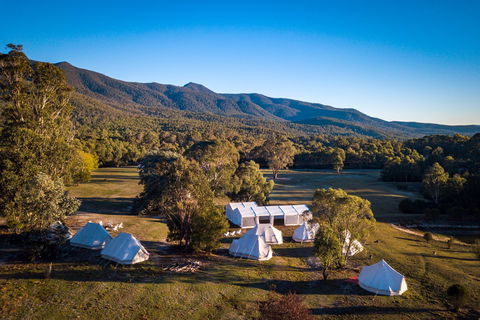 A Wild Night Out - Spring - Accommodation Nelson Bay 5